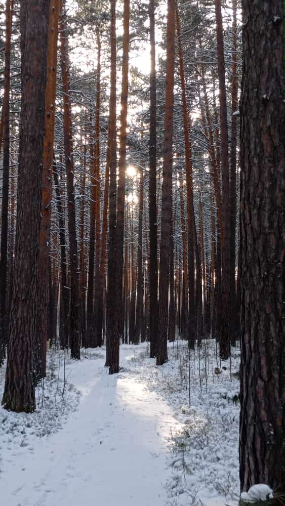 Фото автора. 