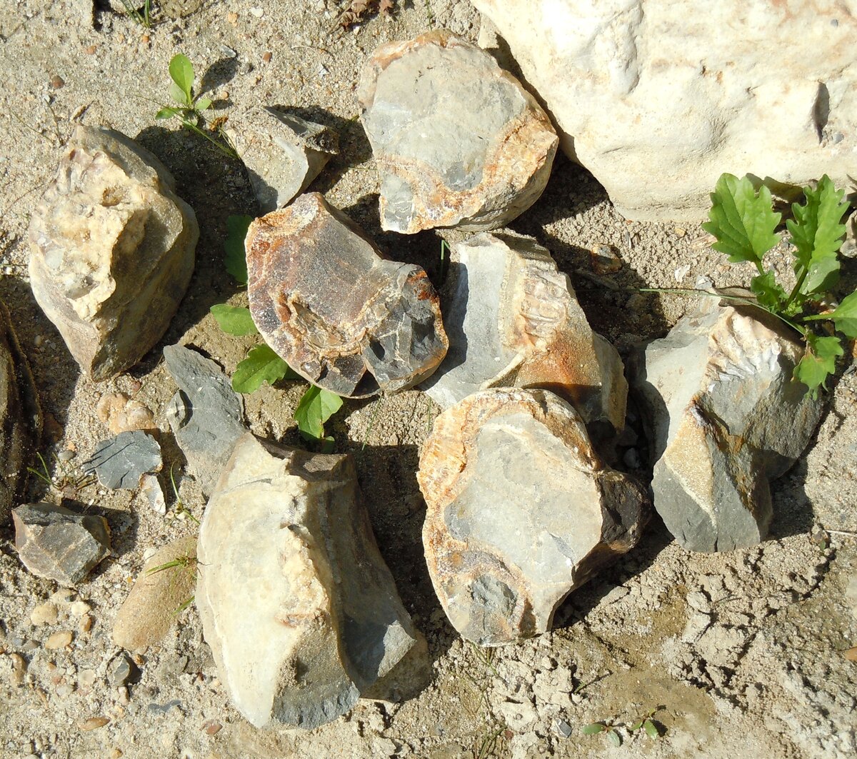 Осколки шара с Фарса