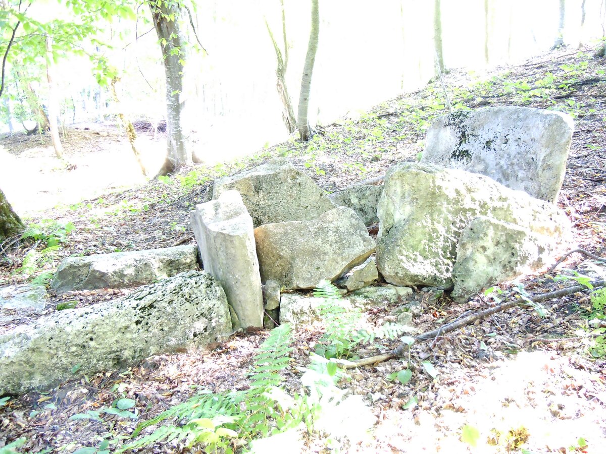 Вот как оправдывают лесорубы хаотичную прокладку ими глубоких, до глины, трелёвочных дорог через леса, поверх старых аккуратных грунтовок, ещё и разрушая при этом древние поселения и могильники разных-49