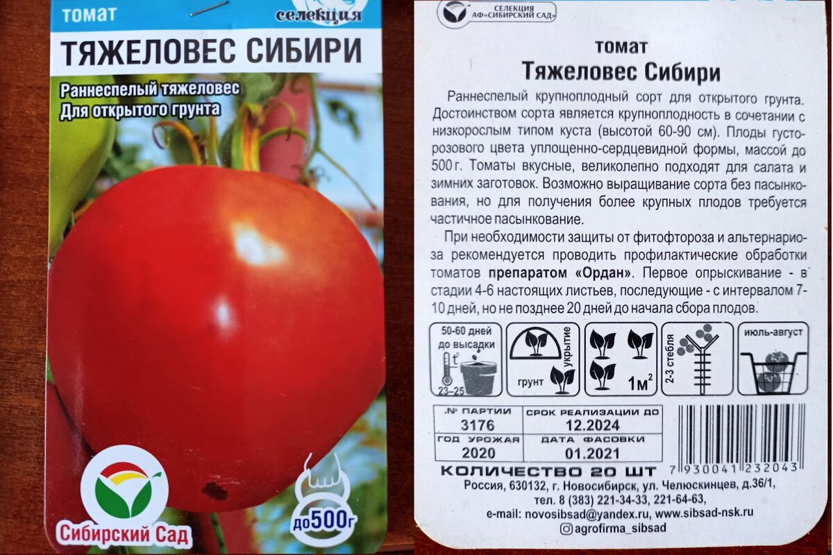 Томат тяжеловес сибири описание сорта фото отзывы