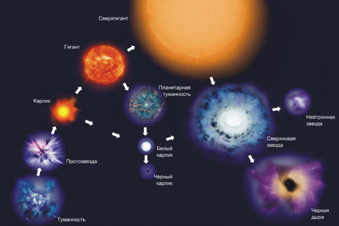 Схема эволюции звезд от протозвезды до черной дыры