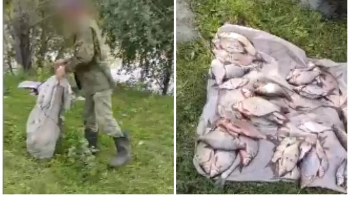 Фото:кадр из видео