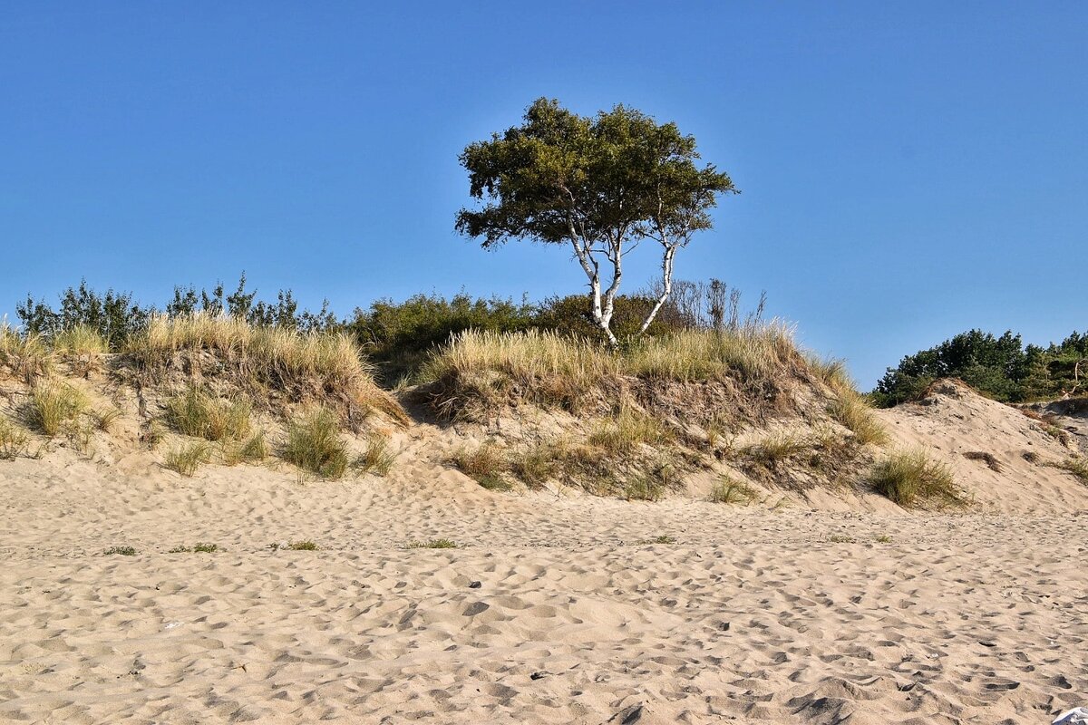Балтийская коса. Калининградская область в августе