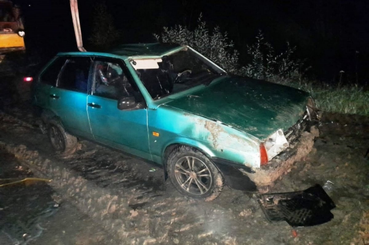    В Омской области из-за ДТП в кювете утонули женщина и трое детей