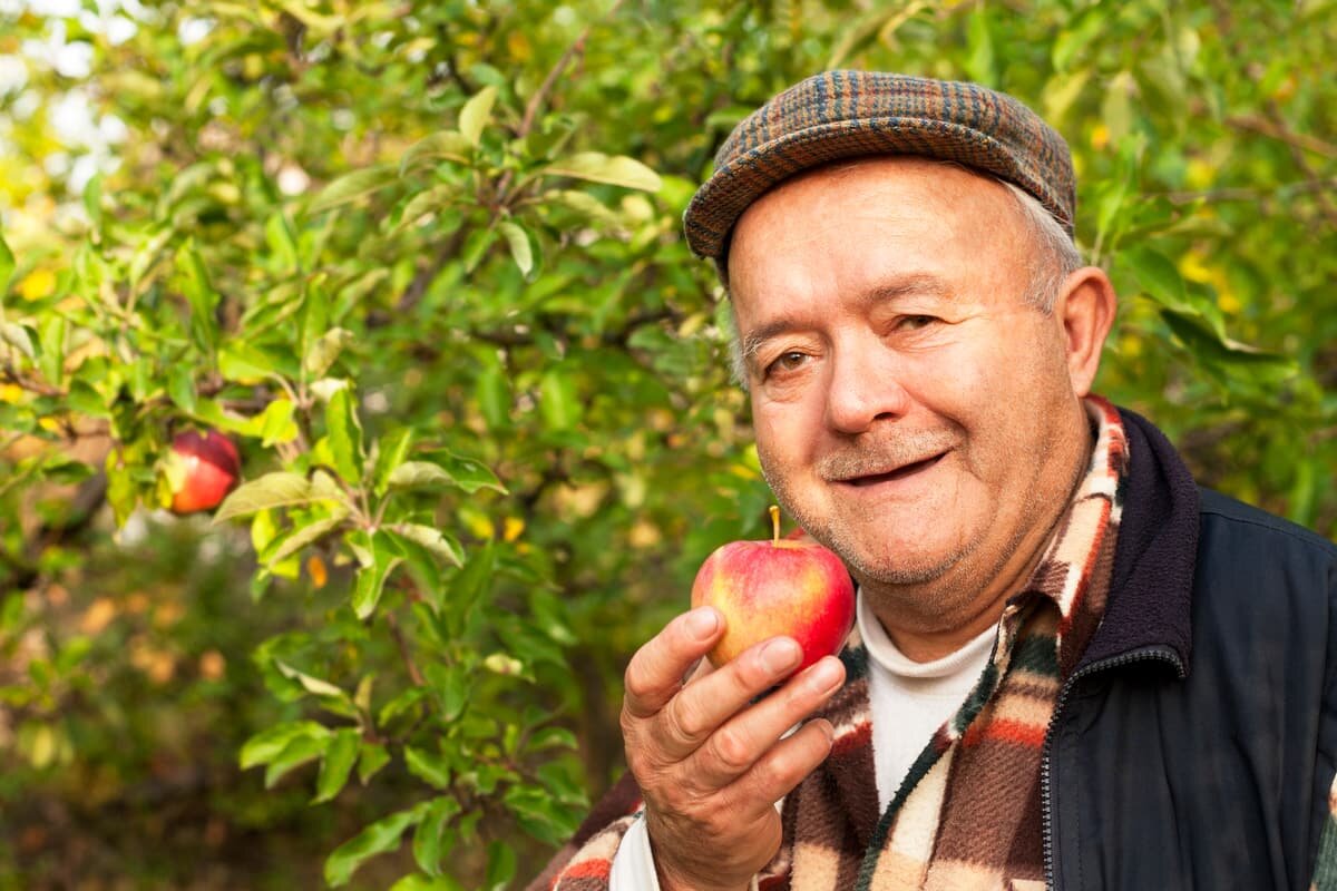 Четверо яблок. Пожилые люди с яблоками. Пожилые люди с арбузом. Пожилые люди фото в фруктовом саду.