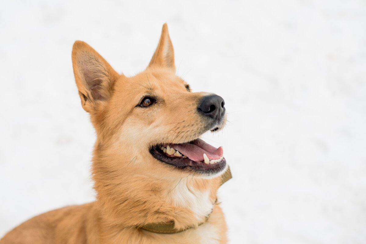 Джун не боится смотреть человеку в глаза