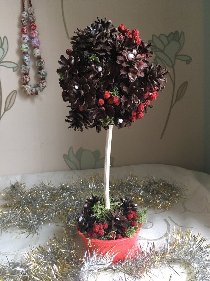 Пример как выглядят сосновые шишки после варки