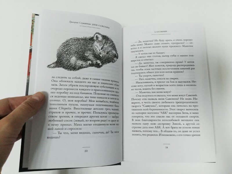 Разворот с иллюстрацией Александры Николаенко. Изображение из открытых источников