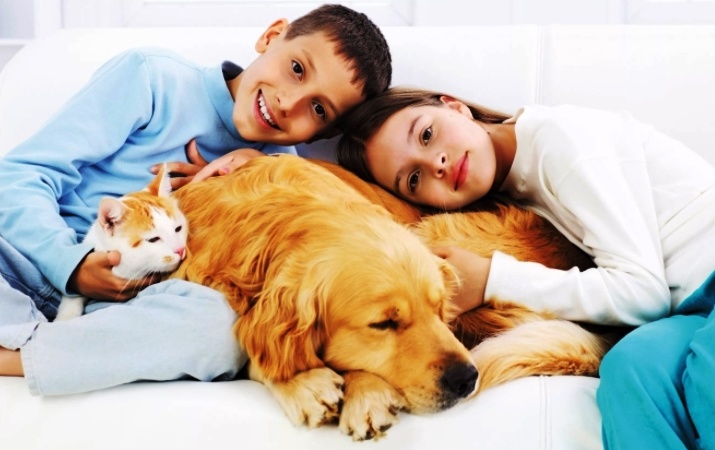 Источник фото: яндекс. картинки