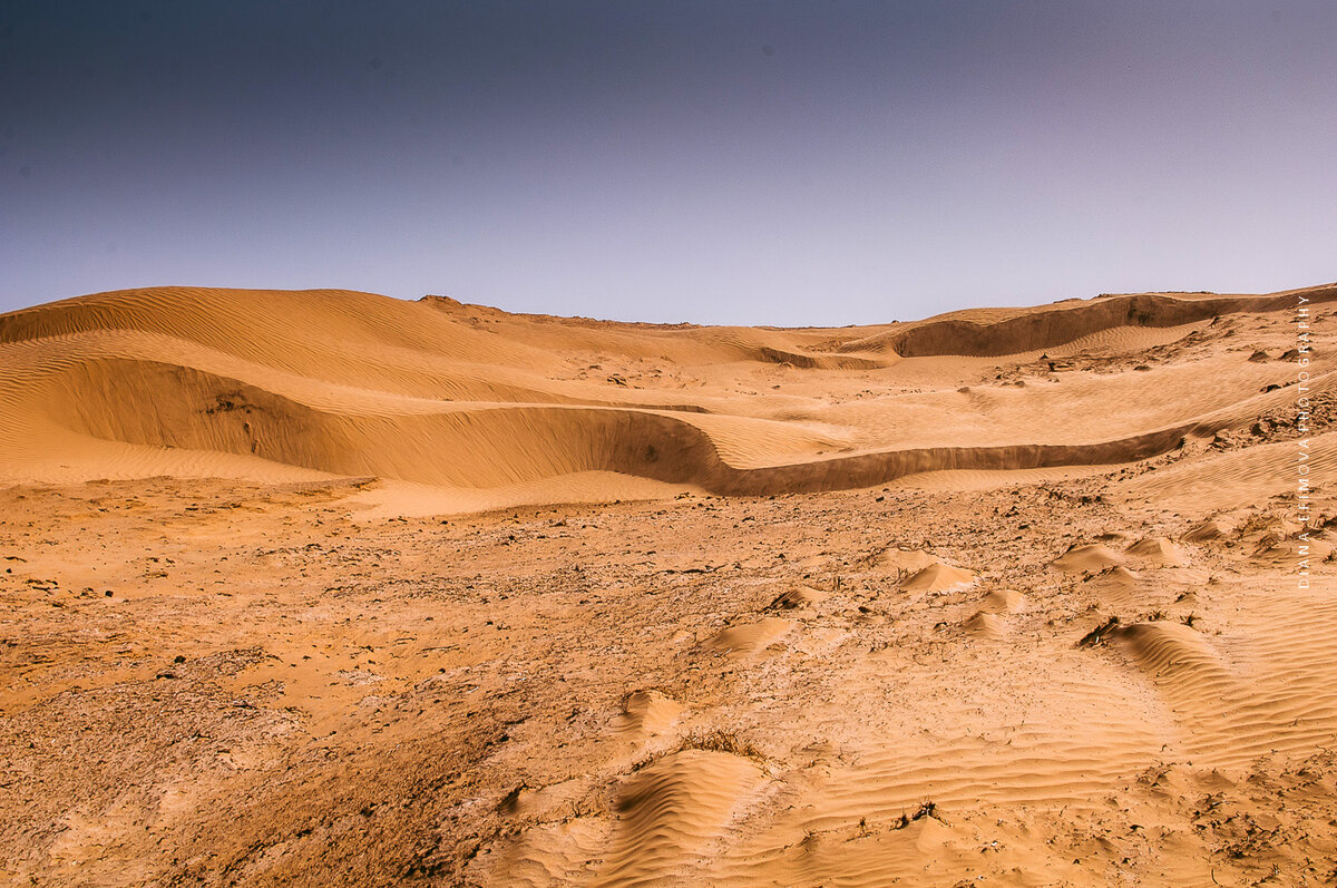 Приокеаническая пустыня. Калмыкия Пески Барханы. Пески 7 лет.