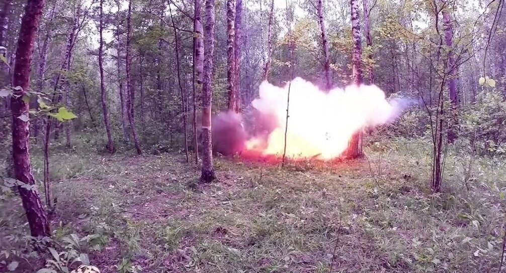 Из свободного доступа