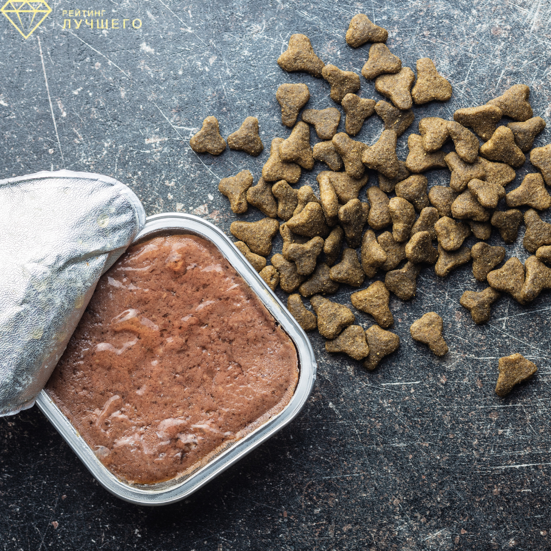 Выбираем влажный корм для кошки