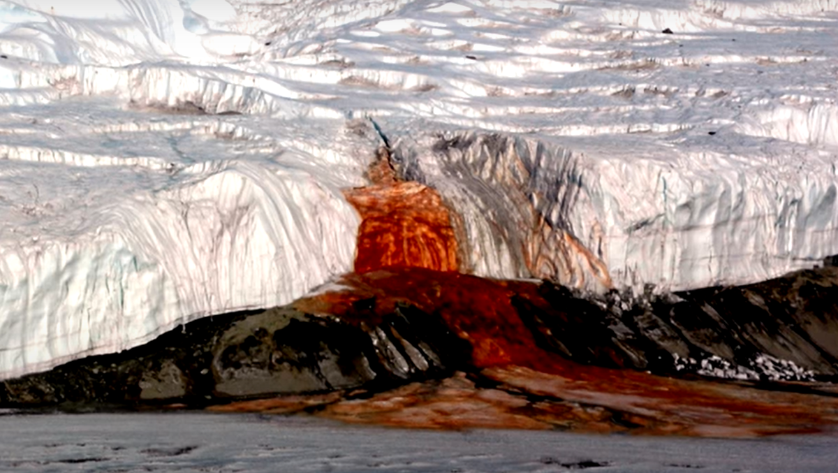 Водопад в Антарктиде. Фото из свободных источников.