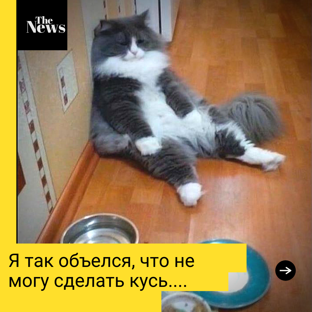 достаточно поел....или нет?