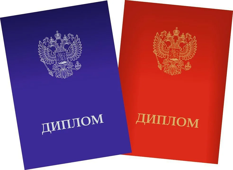 Перевод диплома