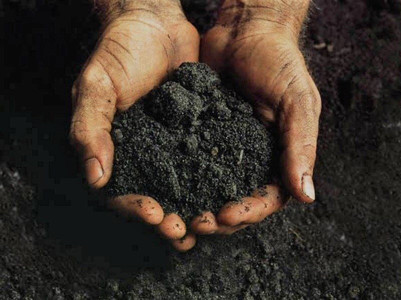 Источник: Яндекс. Картинки