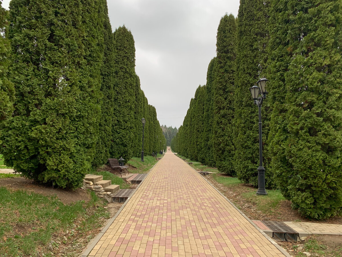 Национальный парк в городе Кисловодск. Фото из личного архива