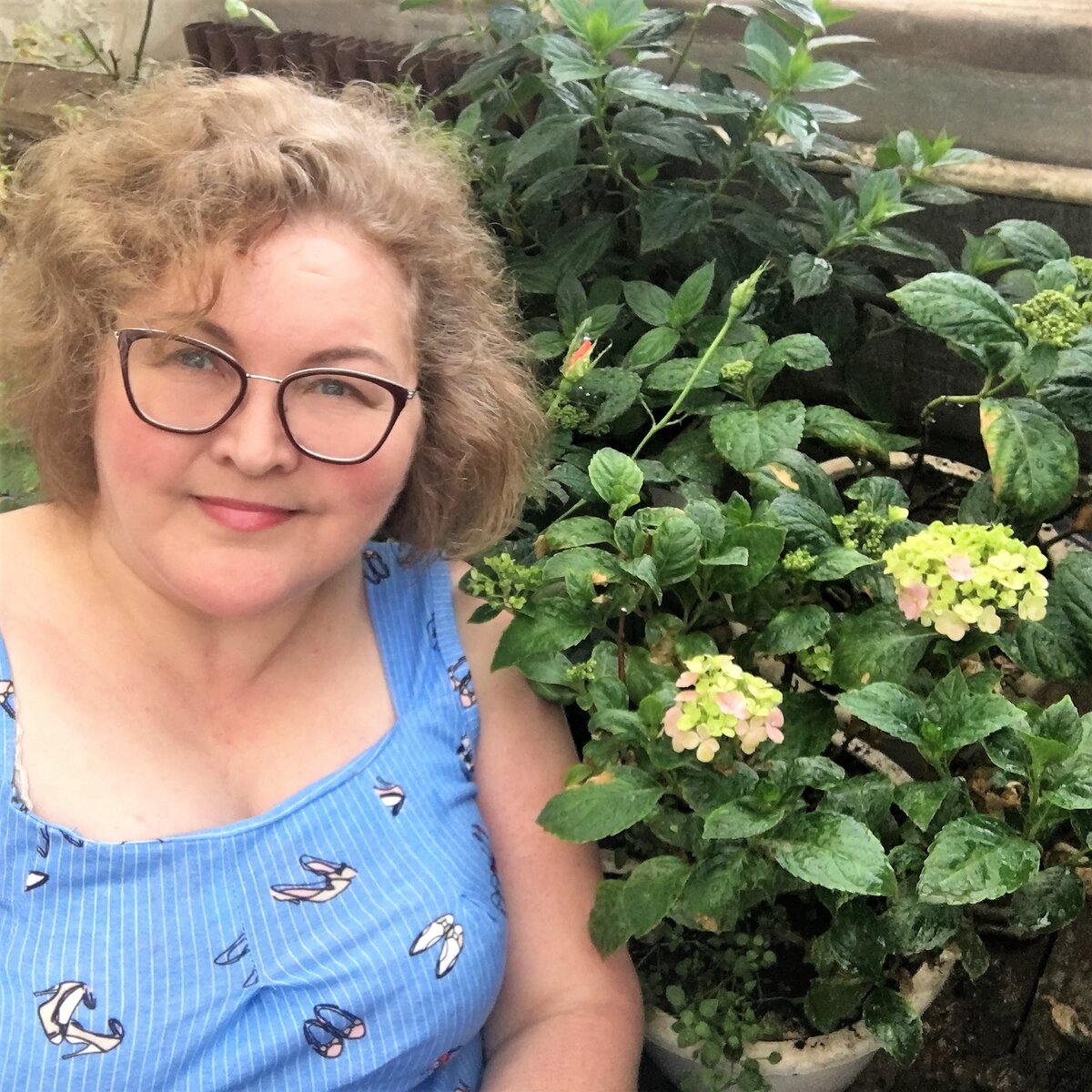 Автор блога - Оксана и мои выжившие гортензии)