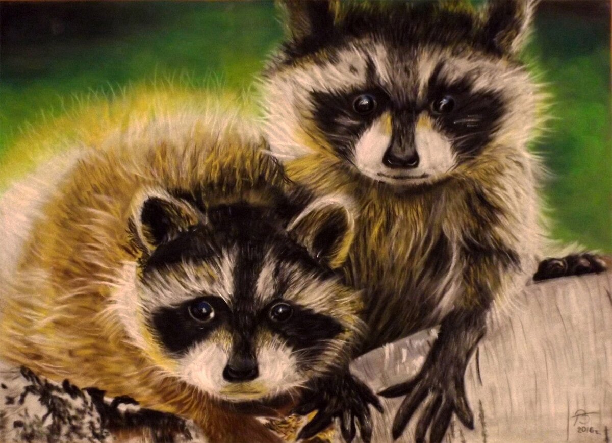 Автор Виктория Кошурникова