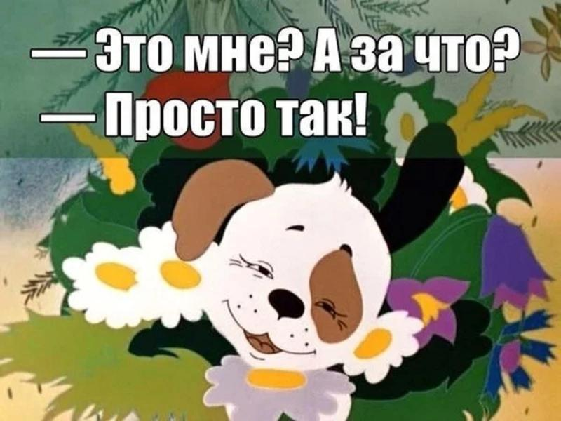 Что просто не позволял. Просто так. А за что просто так. Это мне а за что просто так.