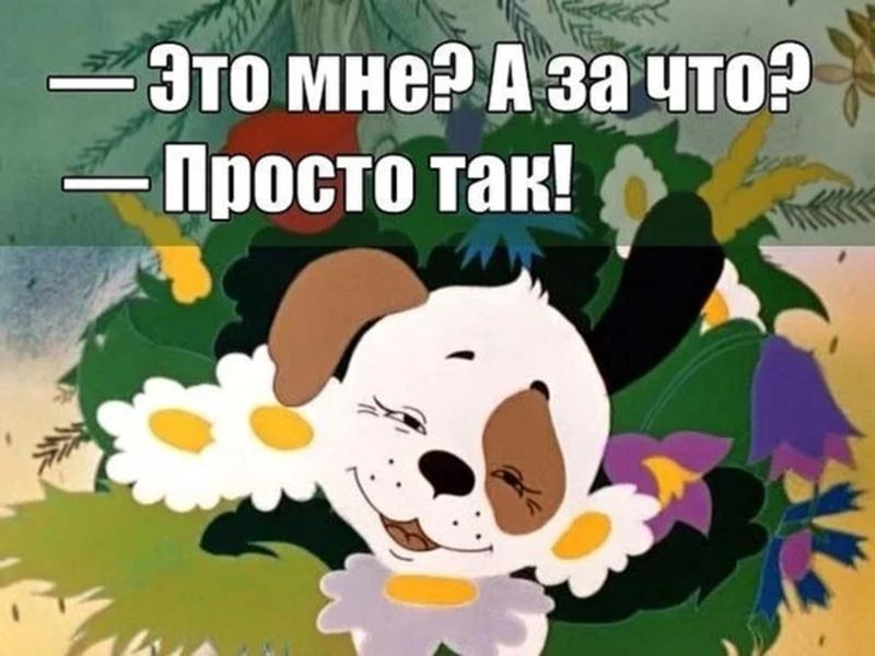 И просто так дата выхода. Мультик просто так. Просто так. Это мне а за что просто так. Кадр из мультфильма просто так.