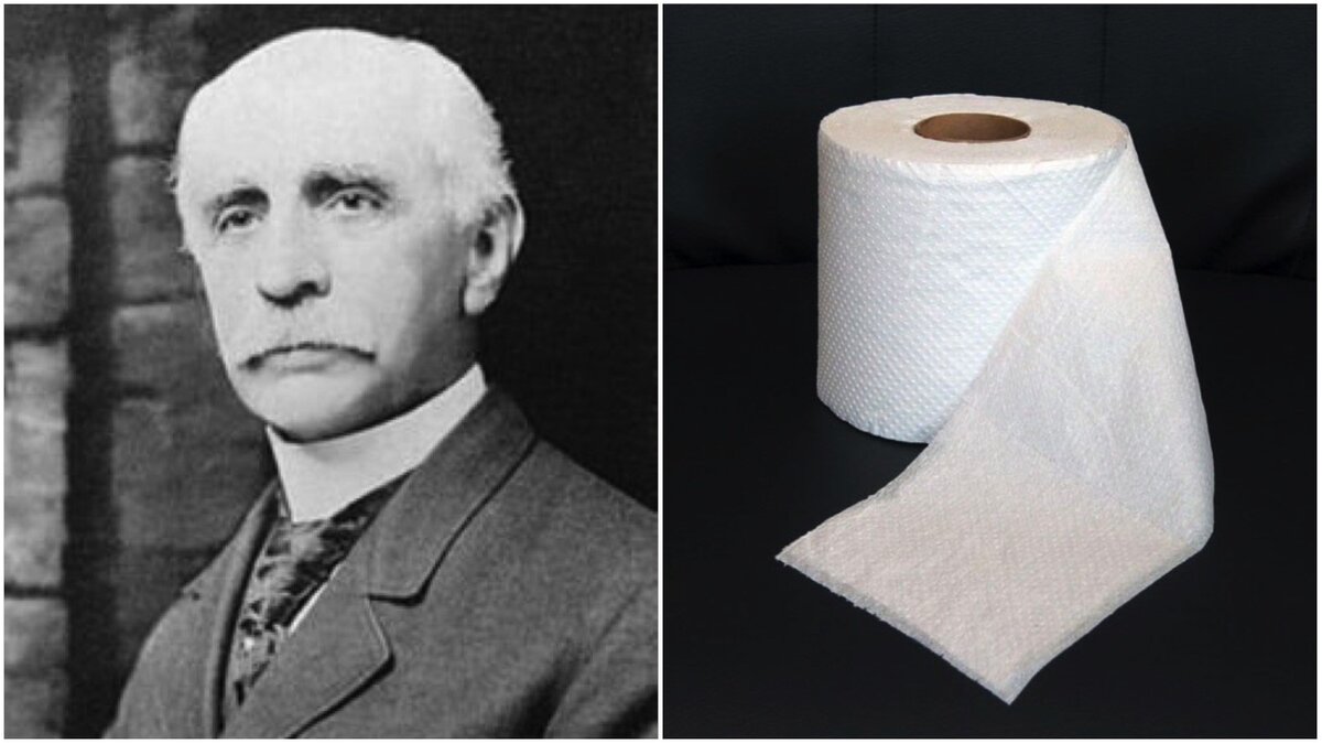 История туалетной бумаги