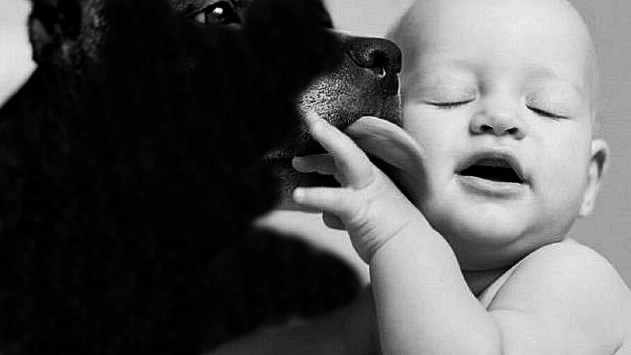 Фото из свободного доступа сети Интернет