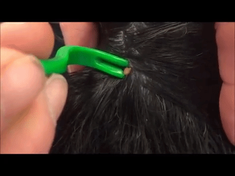 Видео из открытых источников