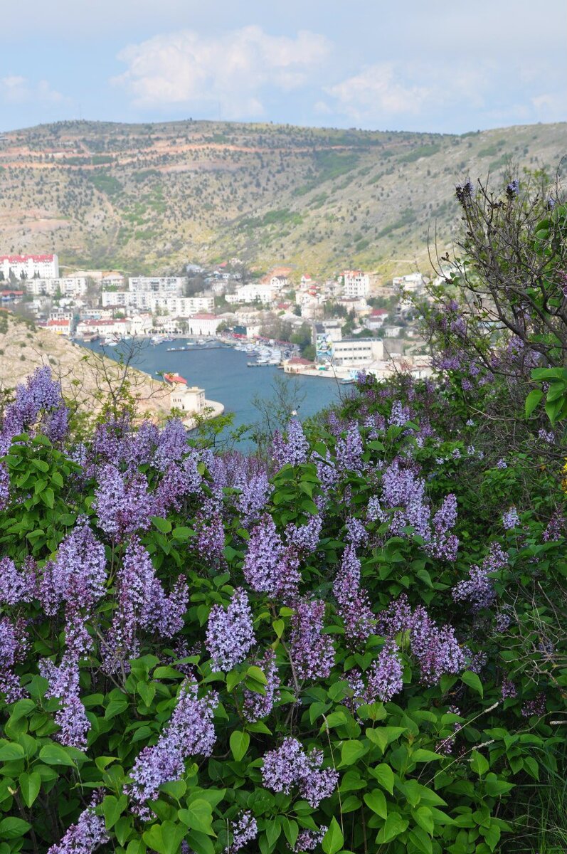 Балаклава весной 
