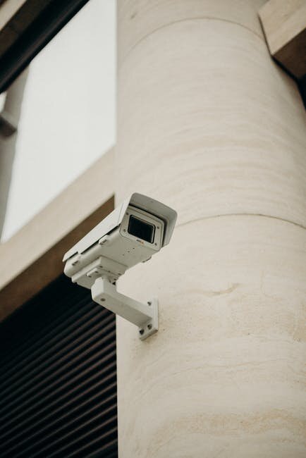 Источник фото :https://www.pexels.com