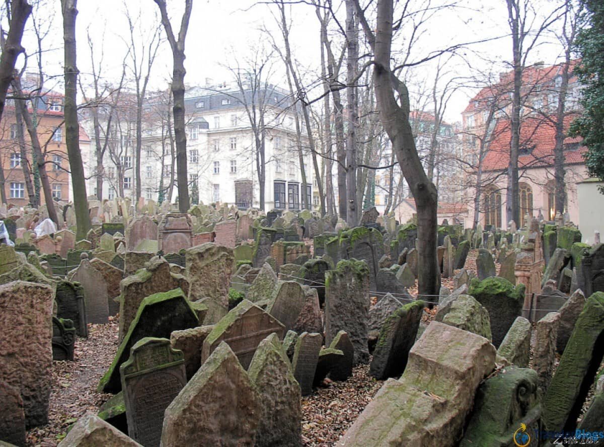 Фото из открытого источника
