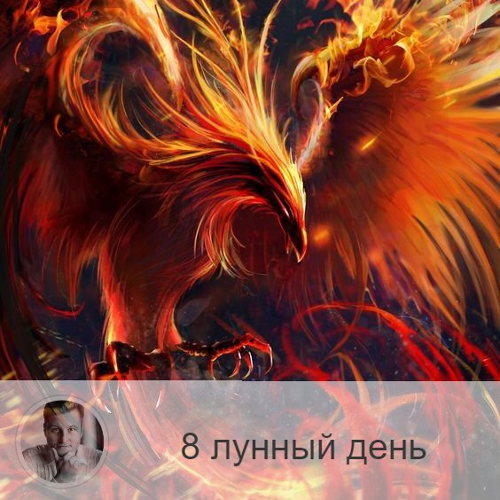 Подписывайтесь на наш канал, друзья!
8-ой лунный день с 09:09 18-ого по 10:30 19-ого. 🔆 Время усвоения энергии и информации.
🐤 Символ дня – птица феникс.
🎂 Люди, рождённые в этот лунный день, прирождённые алхимики, которые могут сгорать и возрождаться, как птица Феникс.
💍 Камень – хризолит.
🌞 День покаяния, исповеди, освобождения от груза грехов прошлого. Представьте, как весь негатив и печальный опыт, накопленный вами за жизнь, сгорает в пламени пожара — можно даже провести символический ритуал на эту тему с использованием огня. Покайтесь в прошлых грехах и отпустите их навсегда! Будет полезно голодание или, по крайней мере, ограничение в пище — это поможет очистить не только тело, но и душу. Будут успешны все дела с элементом самопожертвования. Будьте осторожны во время путешествий и в транспорте.
✅ Рекомендуемые практики: покаяние, приготовление лекарства, чистка желудка.
В этот лунный день хорошо каяться, исповедаться, причащаться. Можно готовить лекарства, травяные смеси. так как они будут обладать максимальным эффектом. Необходимо есть только лёгкую пищу, злаки, рыбу, хорошо сегодня чистить желудок.
❌Запрещено: игра с огнём.
Не рекомендуется проводить практики с огнём. Сегодня с ним надо быть осторожнее, так как он может выйти из-под контроля.
⭕️ Уязвимые органы: желудок, нервная система.
С 8-ым лунным днём связан желудок и периферийная нервная система. При неправильном использовании энергий дня могут появиться желудочный колики, внутренняя дрожь, могут гореть уши.
💤 Сны сегодняшнего дня вещие, они способны подсказать ваше истинное предназначение, главную цель вашей жизни.

—————

Узнай первым обо всём в мире Астрологии и Эзотерики. Жми в меню «•••» сверху справа 🚀 «Уведомлять о новых записях» 👍