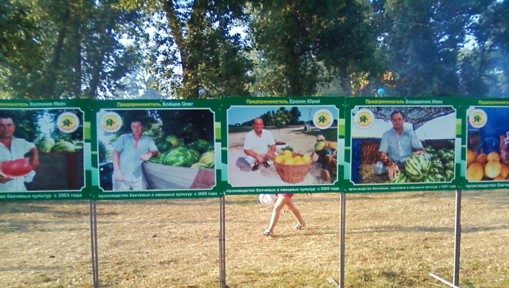 Личное фото. Ударники арбузных полей.