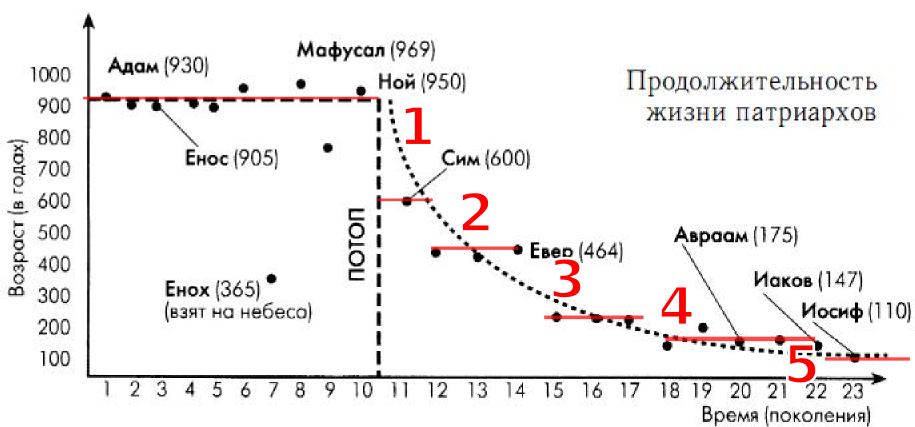 продолжительность жизни патриархов от адама до иосифа. сколько жил адам. продолжительность жизни людей до потопа. сколько людей жило по библии. таблица от адама до ноя.
