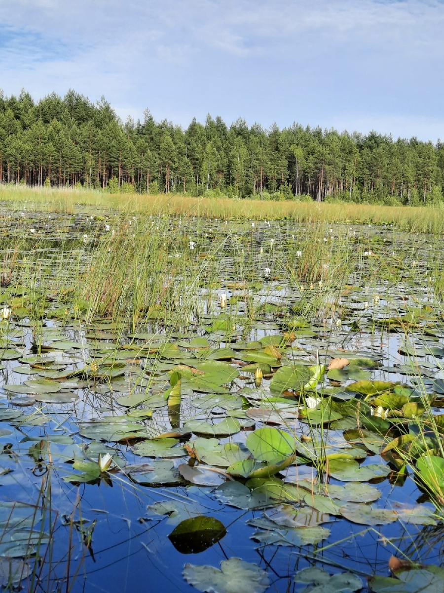 Фото "Зов вечного".