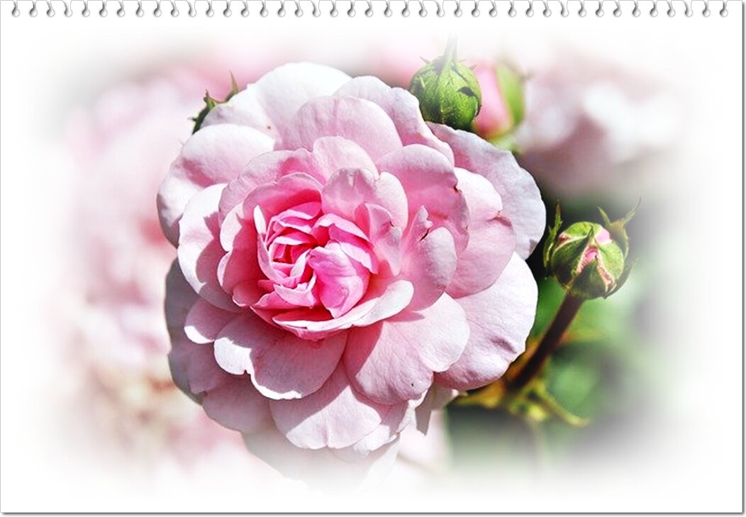 Изображение Couleur с сайта Pixabay 