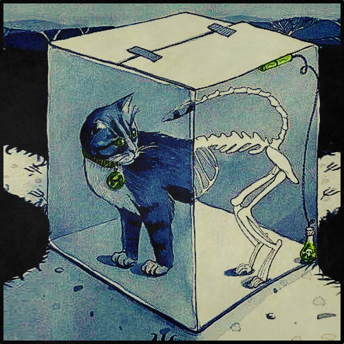 Кот Шрёдингера