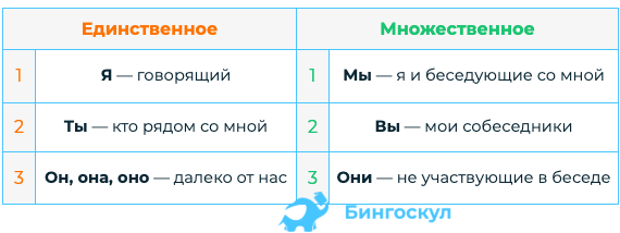 Лица в русском языке: сколько лиц и какие они в русском языке | BingoSchool  | Дзен