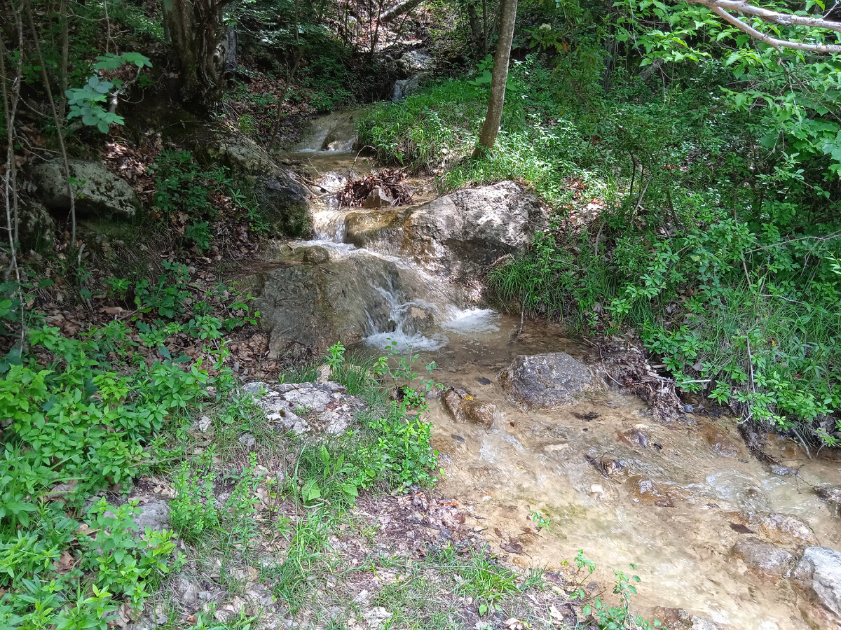 Многочисленные ручьи