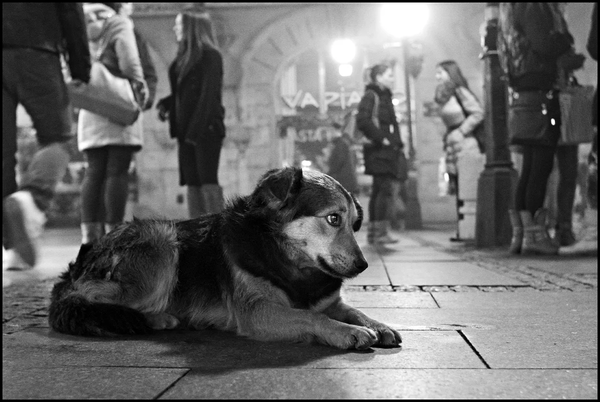 Источник фото: lady.mail.ru