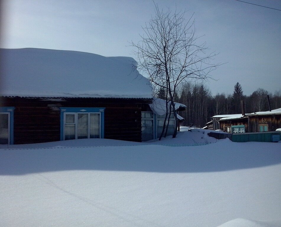 Зима в Таловке. Видимо, талые воды весной дали название селу 