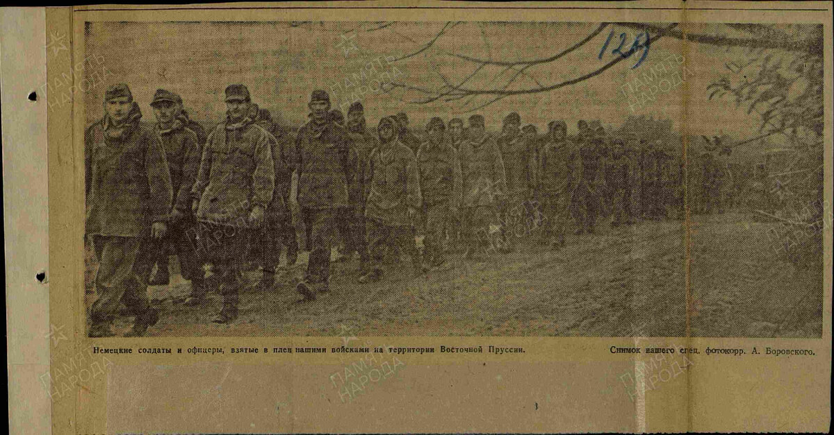 Пленные немцы после освобождения Восточной Пруссии