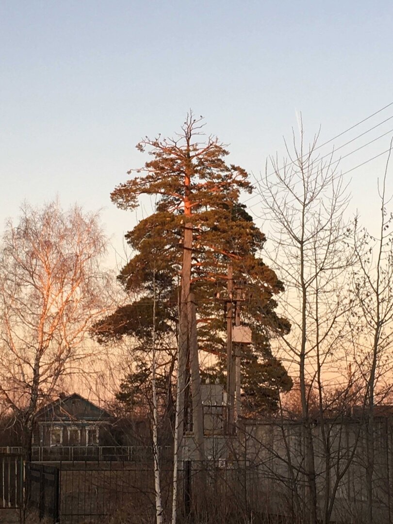 Кусочек маленький нашего сельца в Зауралье(Западной Сибири)