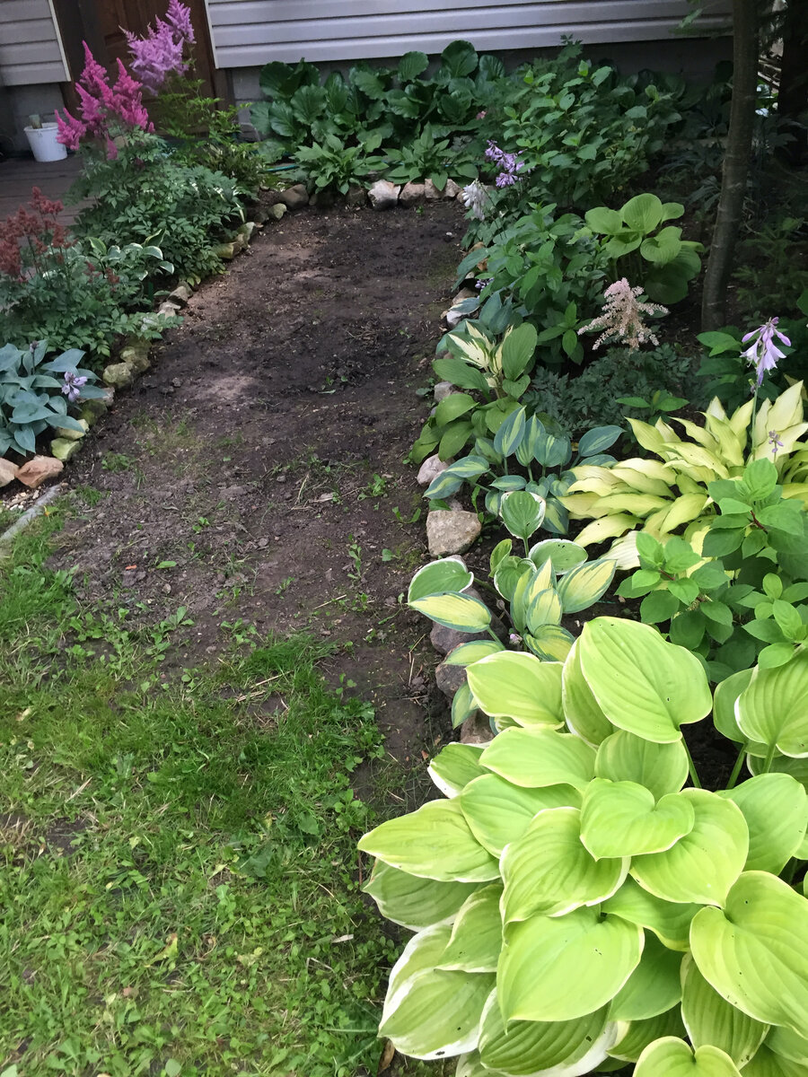 Газончик в тени не хочет зарастать травой, листаем