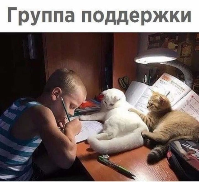 источник: pinterest.ru