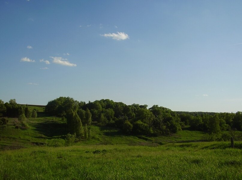 Остатки села Спасское-Хомяково фото 19.05.2019 год, автор Раев. А.В.