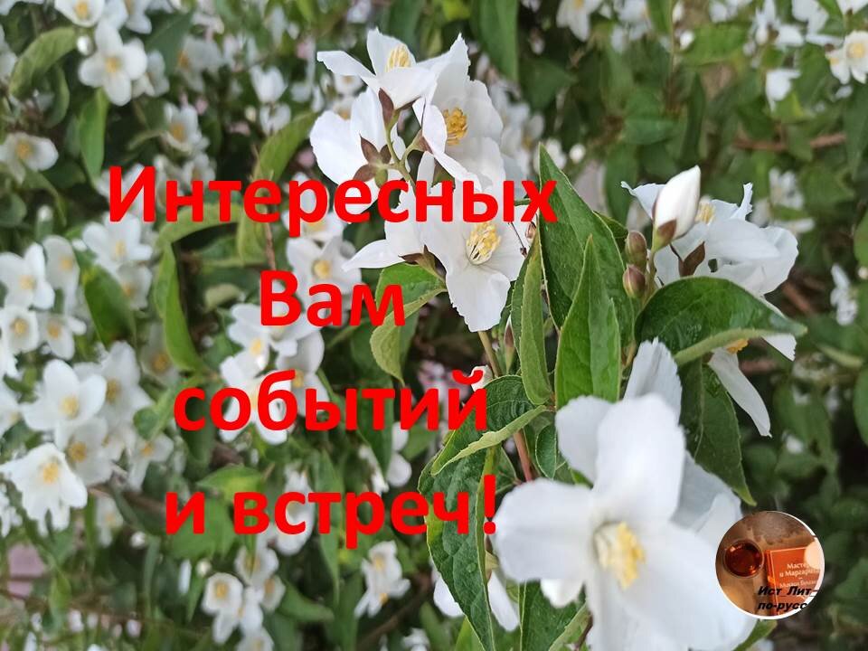 подписывайтесь, если Вы этого еще не сделали!