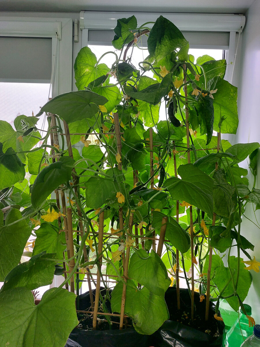 Фото из личного архива.