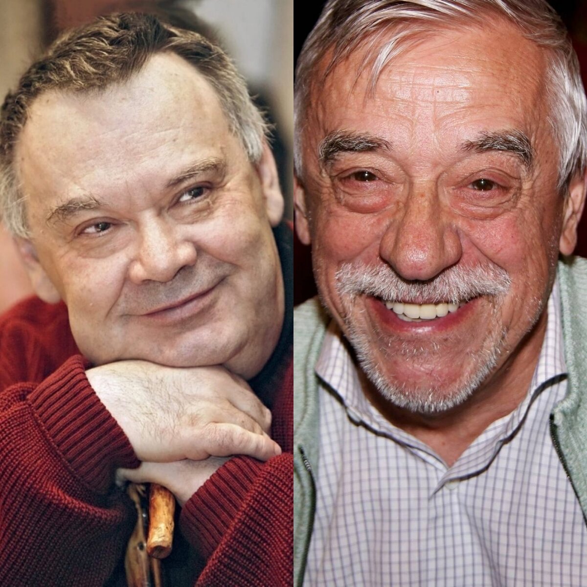 Алексей Герман / Владимир Грамматиков