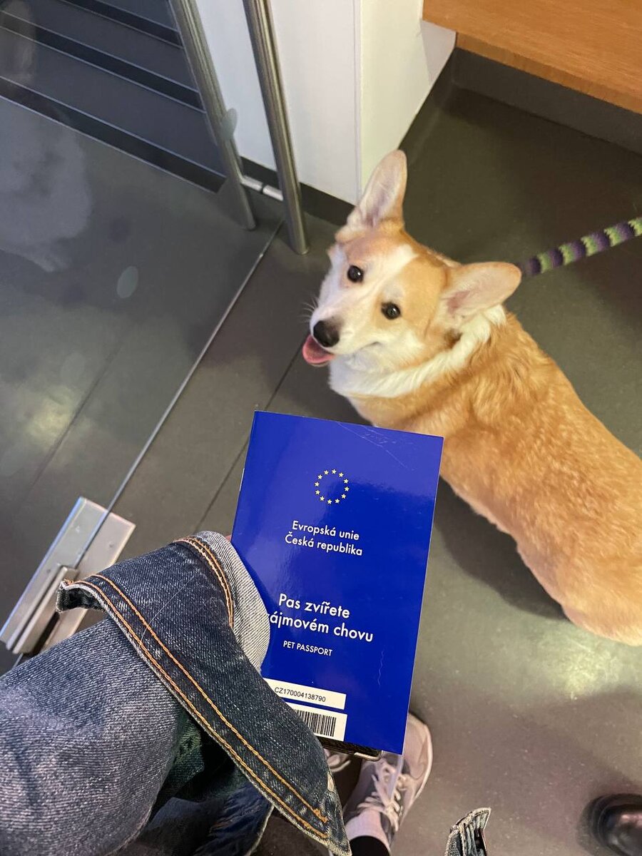 Фото Хантера из личного архива 